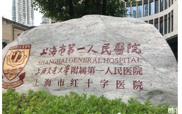上海市第一人民医院冷冻胚胎专家排名第几？