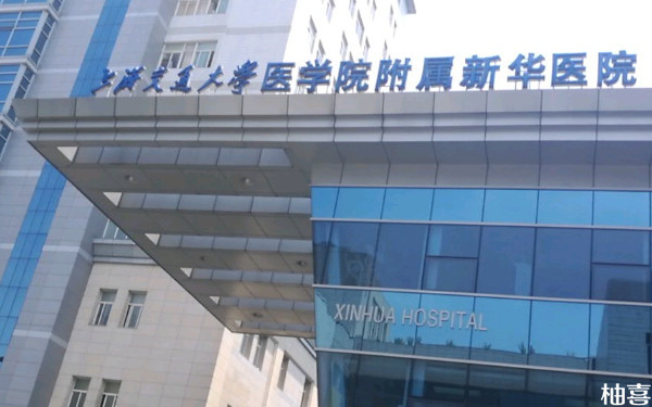 上海新华医院一年做了多少试管婴儿？