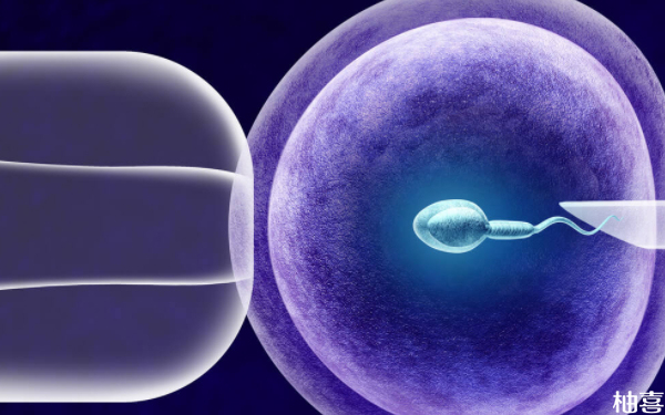 上海长征医院二代试管移植4bb囊胚成功率多少？