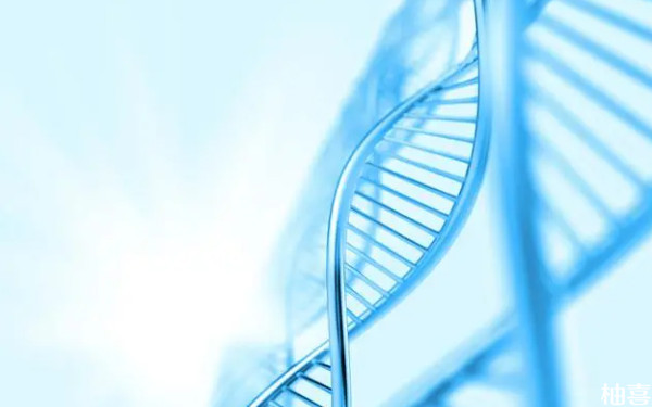 上海长征医院生殖科可以做基因筛查吗？
