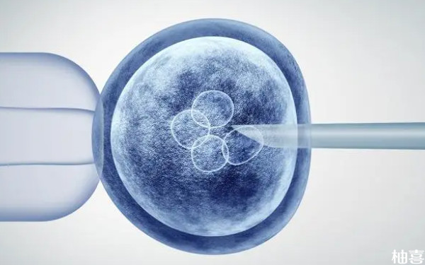 重庆市妇幼移植囊胚医保能报销多少？