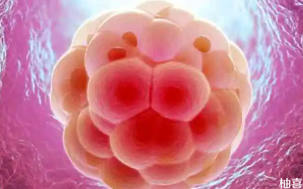 2024在重庆市妇幼生殖科移植囊胚需要什么手续？