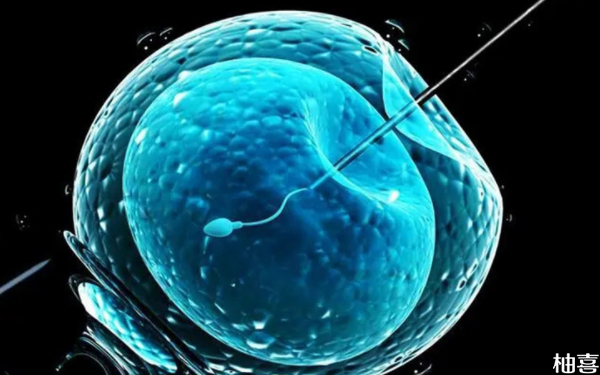 2024重庆妇幼生殖中心三代筛查胚胎一个多少钱？