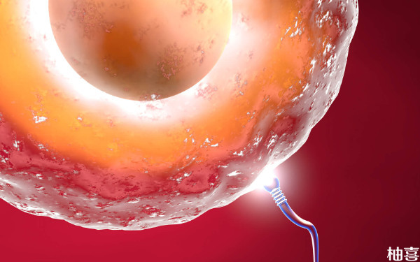 2024重医附一院移植胚胎一次多少钱？