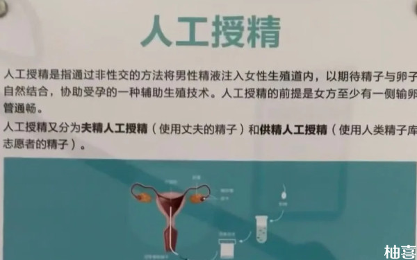 重庆市妇幼保健院人工授精价格是多少？