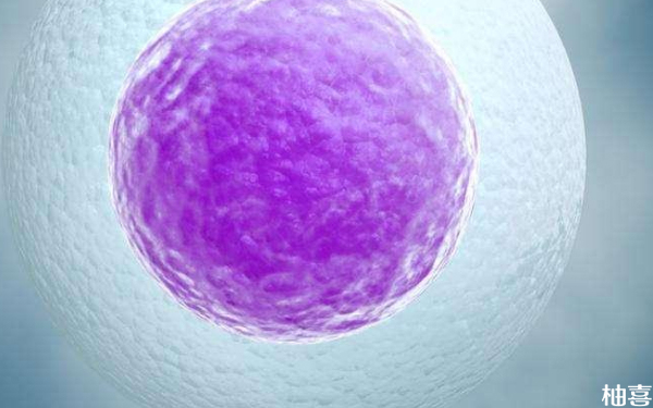 重庆妇幼3代试管移植冻囊胚流程是什么？