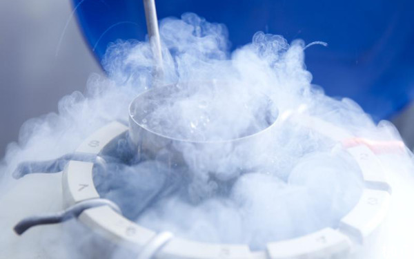 2024重医附一院试管冷冻一个胚胎多少钱？