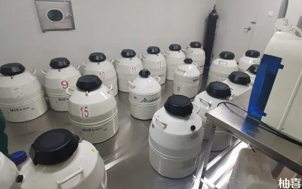 重庆西南医院冷冻胚胎不续费能进去种植吗？