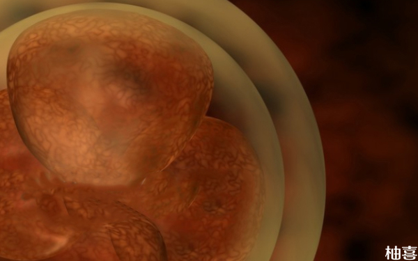 大坪医院生殖科囊胚移植和2代试管区别是什么？