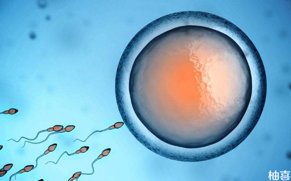 河北省二院胚胎移植是生殖科哪个医生？