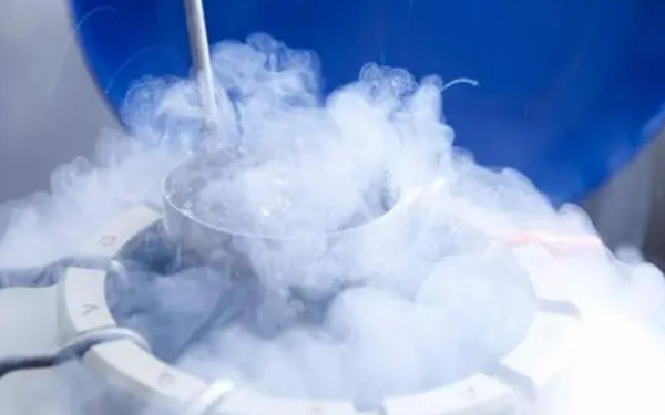 2024大坪医院冷冻一管胚胎多少钱？