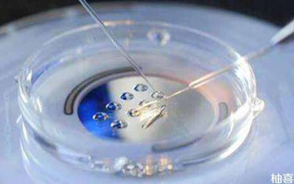 2024重庆新桥医院移植冻囊胚是免费的吗？