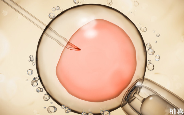河北省四院试管移植一个鲜胚怀双胞胎成功率多少？