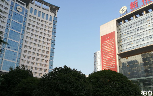 重庆新桥医院生殖中心最权威的试管群在哪里？