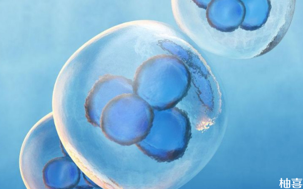 河北省生殖医学中心移植冷冻胚胎必须在医院吗？