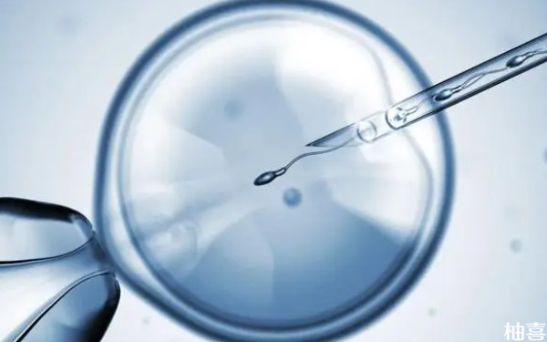 涿州市医院囊胚移植多少钱？