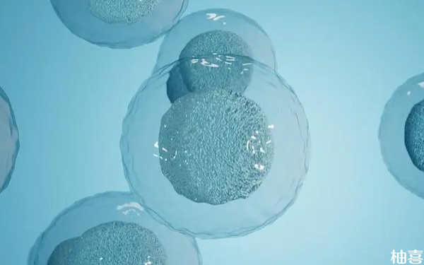 河北生殖妇产医院试管移植一个冻囊胚要多少钱？