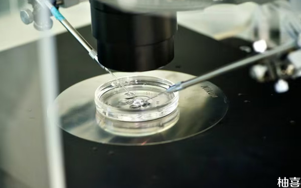 涿州市医院胚胎培养要多长时间？