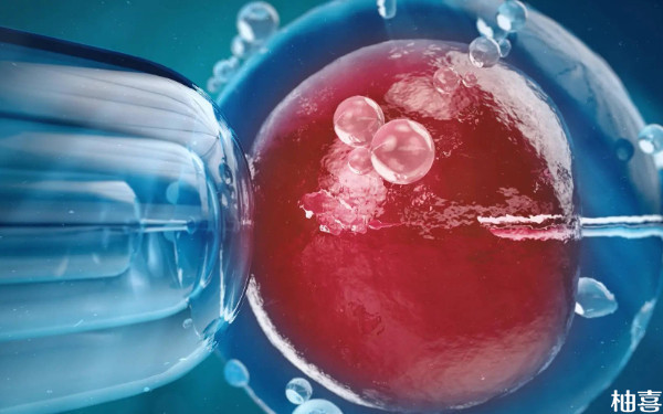 邯郸市中心医院胚胎培养的是几级胚胎？