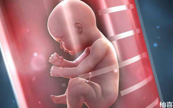 沧州二医院做一代试管婴儿能选胎儿性别吗？
