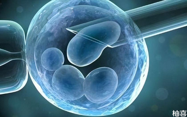 2024沧州二医院鲜胚移植多少钱？