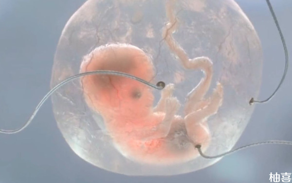 2024山西省妇幼胚胎移植医生刘俊芬排名第几？