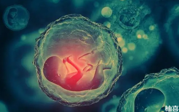 2024山西省妇幼胚胎移植多少钱？