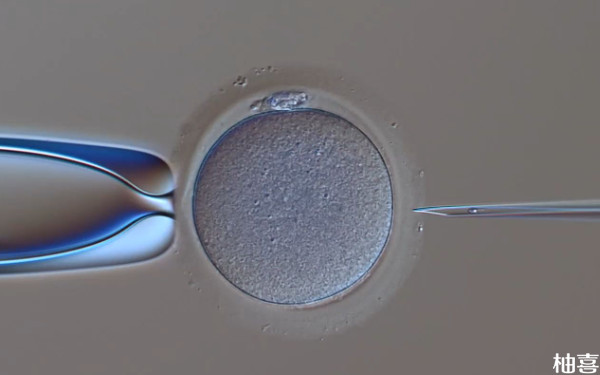 长治和平医院胚胎移植前准备什么？