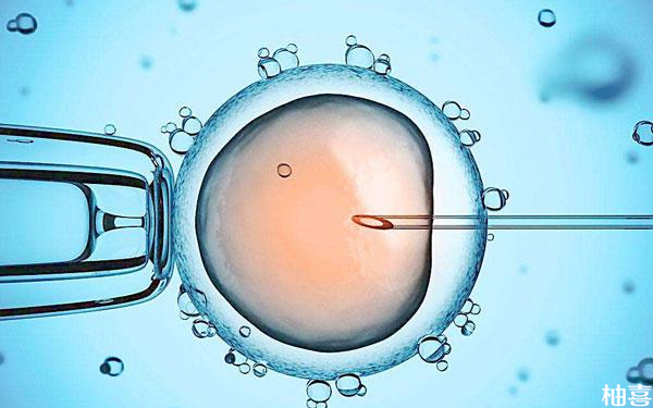 山西省人民医院生殖中心囊胚移植前女方检查什么？