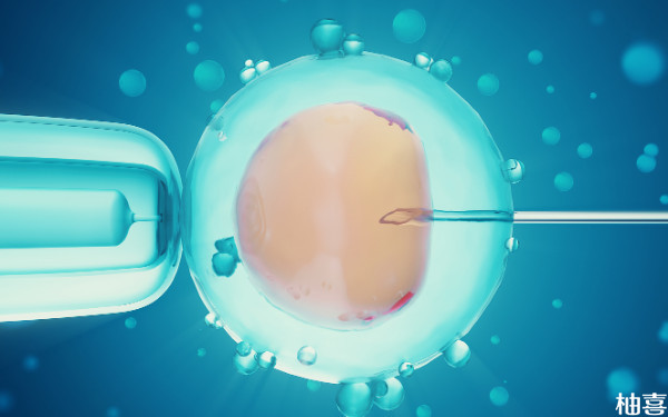 2024内蒙古人民医院鲜胚移植多少钱一次？