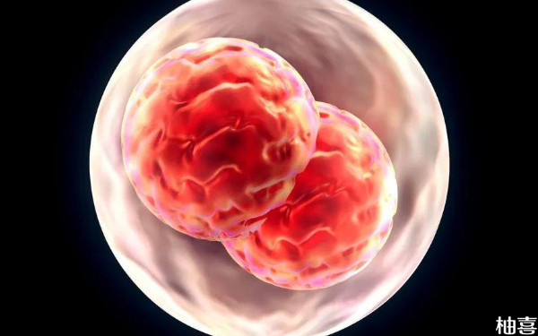 2024年在内蒙古人民医院做移植鲜胚可以不取胚胎吗？