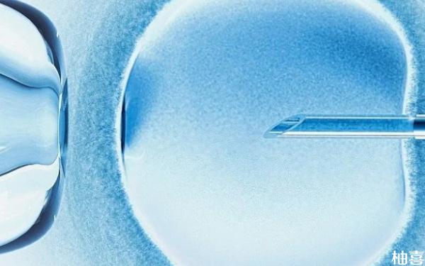 山西省人民医院高龄试管移植一个冻囊胚多少钱？