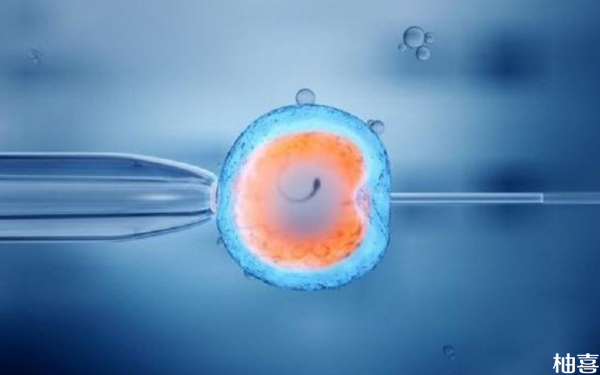 长治和平医院胚胎培养会打麻药吗？