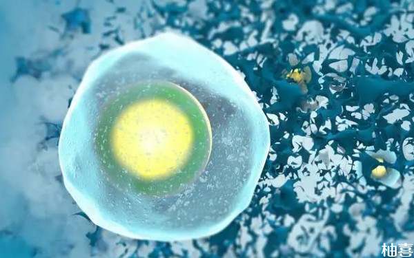 2024在长治和平医院生殖科冷冻胚胎必须做手术吗？