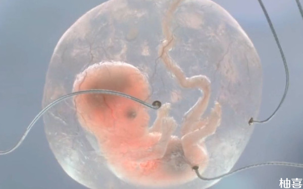 赤峰市妇产医院胚胎移植前检查项目有哪些？