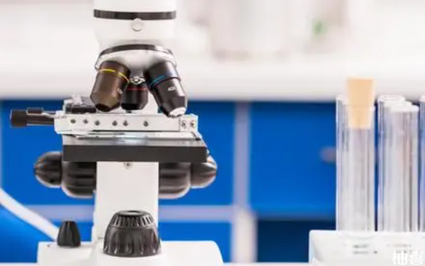 赤峰市妇产医院新鲜胚胎培养需要多长时间完成？