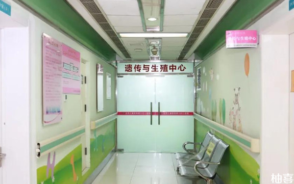 2024盛京医院试管反复移植多少钱？