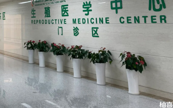 盛京医院1代试管婴儿手术在哪个院区做？