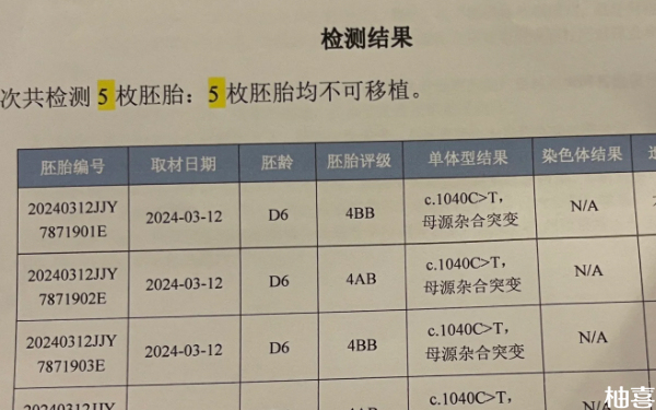 沈阳204医院2代试管第一次移植鲜胚成功率高吗？