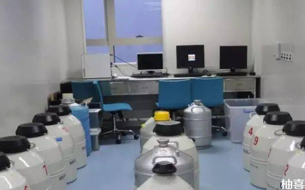 吉林省人民医院移植冷冻胚胎成功率多少？