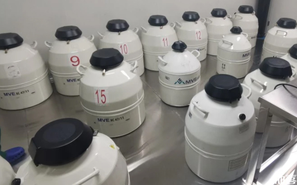 江苏省中医院第二代试管转化率高吗？