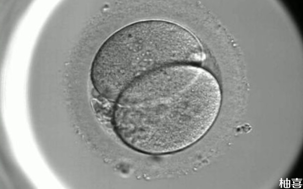 供卵女性的资料可信吗？