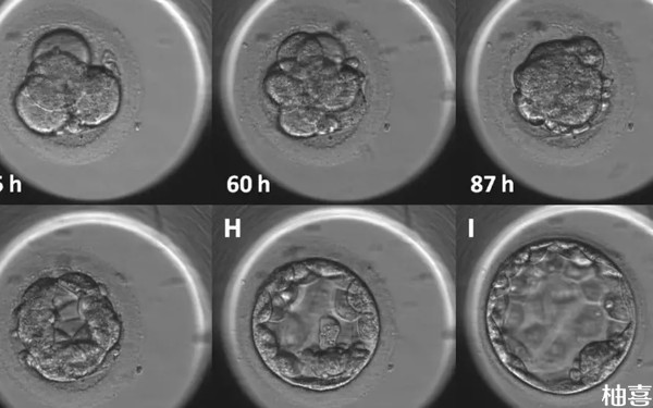 供卵三代试管三天胚胎质量不好移植能成功吗？