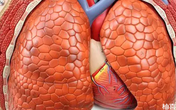 试管移植前抽血化验为什么还有过期的时候？