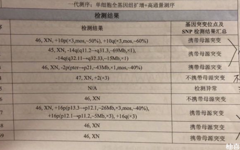 三代试管可筛查基因