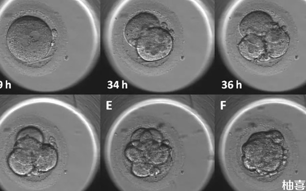 试管三代囊胚质量不好做活检筛查能过关吗？