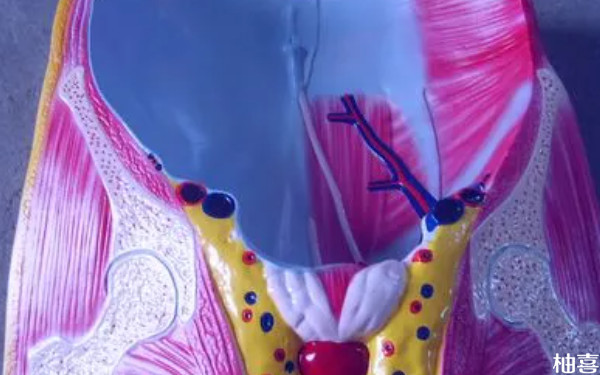 做凯格尔运动时为什么肚子总会跟着缩？