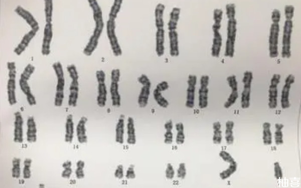 在精子库做供精二代试管生的小孩不像爸爸怎么办？