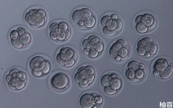 2025做二代试管移植三级卵裂期胚胎会导致宫颈损伤吗？