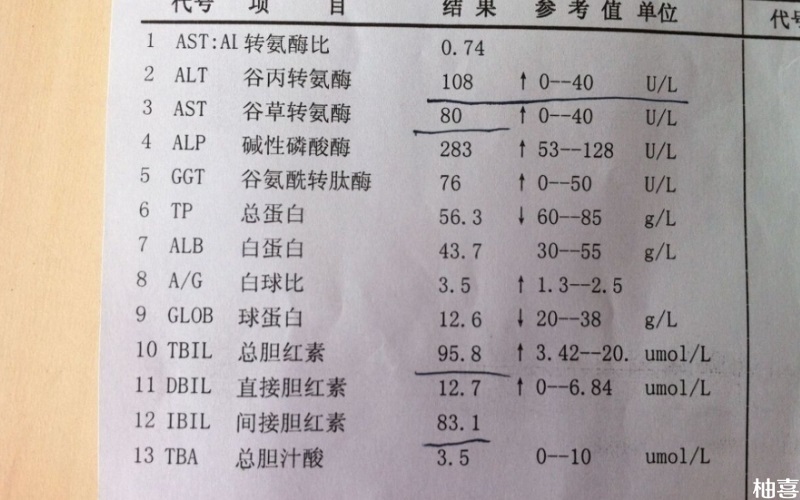 患者肝功能偏高可能出现恶心